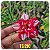 Rosa do Deserto Enxerto TS-210 - Imagem 1