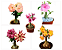 Kit de 5 Mudas de Enxertos Multipetalas Sortidas - Imagem 1