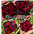 Rosa do Deserto Enxerto Pérola Negra - Imagem 1