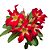 Rosa do Deserto Enxerto Ghost EV-75 - Imagem 2