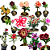 Kit 100 Enxertos Mudas Rosas Do Deserto Multipétalas - Imagem 1