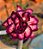 Rosa do Deserto Enxerto Lm-288 - Imagem 3