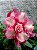 Rosa do Deserto Enxerto Lbg1 - Imagem 2
