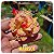 Rosa do Deserto Enxerto Marissol Muda Baby - Imagem 1
