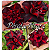 Rosa do Deserto Enxerto Pérola Negra matriz - Imagem 1