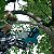 Motosserra a Bateria 115Mm Duc122Rfe - Imagem 3