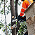 Cortadora de Galhos Makita 18V - 150 mm DUC150Z01 - Imagem 2