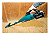 Aspirador de Pó Makita 40V - Sem Bateria CL001GZ02 - Imagem 2