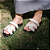 Papete Thais Off White - K. Daher - Imagem 1