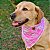 Bandana - Xadrez Rosa - Imagem 2