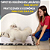 Kit 4 un Tapete Higiênico Lavável 100% Algodão | Pets - Imagem 4