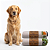 Kit 2 un Tapete Higiênico Lavável 100% Algodão | Floresta - Imagem 2