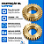 Coroa de Bronze do Avental Z-35 Nardini 013.004.107A Nodus ND250/-325 NZ-400 - Imagem 5
