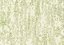 Papel de parede Trend 2461 - Imagem 1