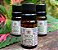 Óleo essencial Breu Preto "Protium heptaphyllum" 5ml - Imagem 2