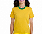 Camiseta de Algodão do Brasil adulto P ao GG3 (P/ Sublimação) - Imagem 2