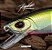 ISCA ARTIFICIAL RAPTOR MINNOW 90 - MARINE SPORTS - Imagem 7