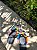 HAVAIANA SQUARE - Imagem 3