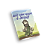 Você sabe quem é Jesus? - Livro - Imagem 1