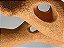 Broto Grande - Imagem 3