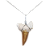 Colar Dente de Tubarão Fóssil 3cm - Imagem 5