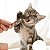 Pirulito De Catnip E Matatabi - Limpeza Bocal Para Gatos - Imagem 4