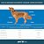 Cosequin Ds Plus 75 Comprimidos Suplemento Canino Nutramax - Imagem 4