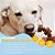 Brinquedo Mordedor Nylabone para Cães acima de 23 KG - Imagem 5