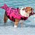 Colete Salva-Vidas Boia Flutuante para Atividades Aquáticas com Animais Cachorro e Gato Resistente à água (G) - Imagem 9
