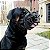 Focinheira preta para cães SIMILAR a marca baskerville tam 2 - Imagem 7