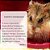 Globo acrilico hamster com suporte arame - Imagem 4