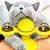 Brinquedo Pet para Gatos – Spinner - Imagem 5