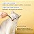 Matatabi Palitos Naturais de Catnip para Gatos - Limpeza Dental e Diversão Garantida (Pacote com 8 Unidades) - Imagem 3