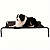 Cama Elevada Pet G 90x60cm - Imagem 1