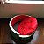 Cama Caminha Pet Melancia - G - Imagem 5
