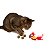 Brinquedo Interativo Som Bolinhas Catnip Aves/Passáros Gatos - Imagem 8