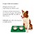 Comedouro bebedouro duplo silicone inox antiderrapante - Imagem 8