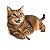 Catnip para Gatos Animaux - Imagem 3
