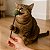 Catnip para Gatos Animaux - Imagem 8