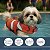 Colete Salva-Vidas Boia Flutuante para Atividades Aquáticas com Animais Cachorro e Gato Resistente à água (M) - Imagem 7