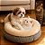 Cama Pet Luxo Donut - 50cm x 50cm - Imagem 7