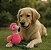 Brinquedo Pet Pelúcia Corda AFP - FLAMINGO - Imagem 7