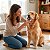 Kit Dental Higiene Bucal Para Cães 1 Gel  1 Escova de Dedo 1 Escova Três Lados - Imagem 6