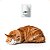 Refil Difusor Calmante Natural para Gatos – 30ml - Imagem 2