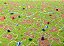 Carcassonne Plus - Imagem 3