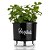 Vaso Raiz Autoirrigável Médio N3 Preto Temperos Horta Jardim Vertical - Imagem 4