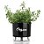 Vaso Raiz Autoirrigável Médio N3 Preto Temperos Horta Jardim Vertical - Imagem 10