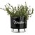 Vaso Raiz Autoirrigável Médio N3 Preto Temperos Horta Jardim Vertical - Imagem 8