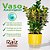 Vaso Raiz Autoirrigável Médio Preto Horta Plantar Tempero Orégano - Imagem 3