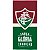 Toalha de Banho Time Fluminense 70x140cm Avelulado Licenciado Lepper - Imagem 1